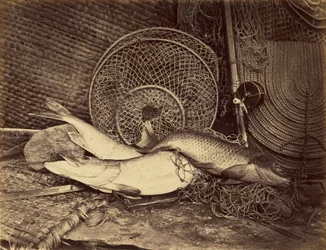 Still Life with Carp and Pike