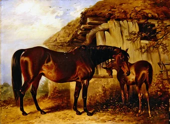 Mare and Foal