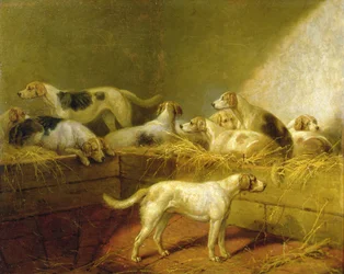 A Hunt Kennel