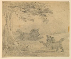 Study of Two Spaniels in a Park