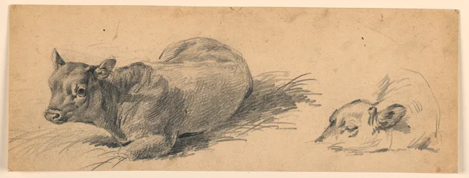 Study of a Young Bull Lying in a Meadow