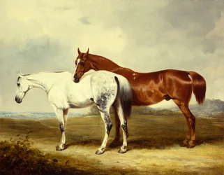 Carriage Horses at Pasture