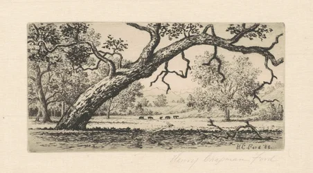 California Landscape