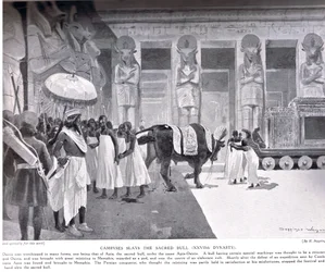 Cambyses Slays the Sacred Bull, Illustration from 