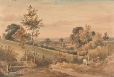 Little Bushey, Hertfordshire
