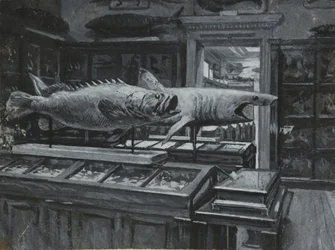 Interior view of the British Museum showing the gallery of fish exhibits, c.1880