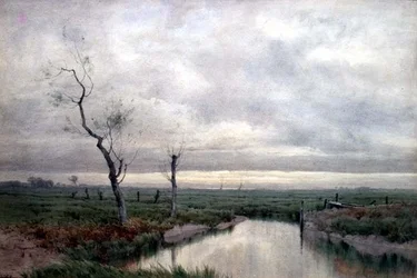 Coastal Marshlands