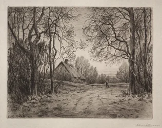 Winter Evening