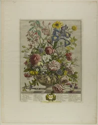 June, from Twelve Months of Flowers