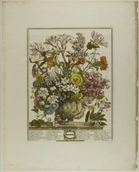 October, from Twelve Months of Flowers