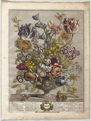 Twelve Months of Flowers: April