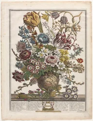 Twelve Months of Flowers: March