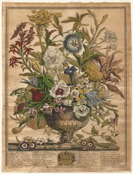 Twelve Months of Flowers: September