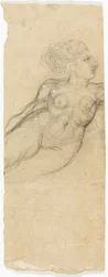 Studies of Nudes