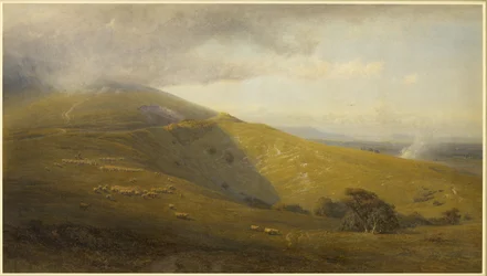 A View on the South Downs