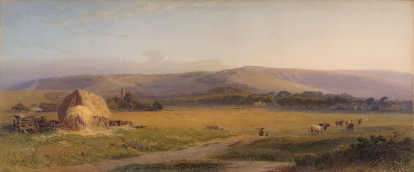South Downs Pastures