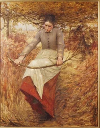 An Autumn Morning