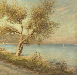 The Mulberry Tree