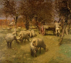 Unknown Image