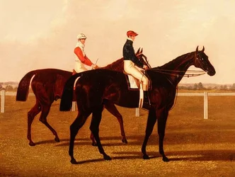 The Racehorses 