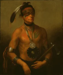 Hoo-Wan-Ne-Ka (Little Elk)