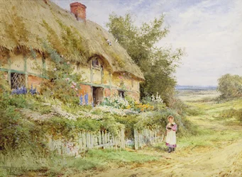 The Pet Rabbit