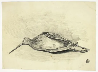 Dead Grouse