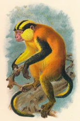 Erzleben