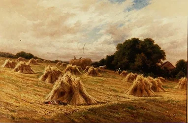 A Surrey Cornfield, near Reigate