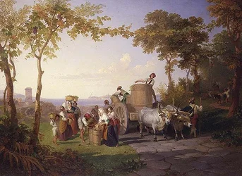 Harvesting the Vine