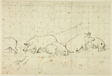 Pigs