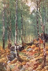 A Birch-Wood in Springtime, by Loch Maree, Ross-Shire