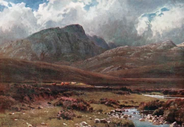 Crags near Poolewe, Ross-Shire