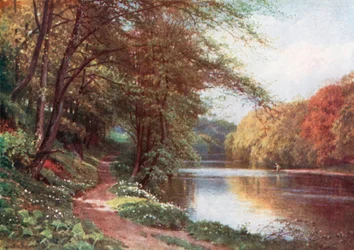 On the River Ayr, Ayrshire
