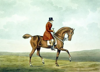 A Meltonian, As He Was, from 