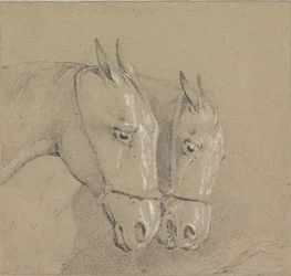 Heads and Necks of Two Horses Wearing Bridles, Right Profiles