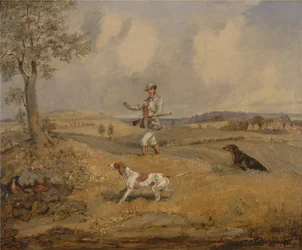Partridge Shooting