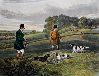 Partridge hunting