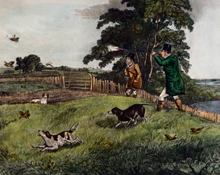 Partridge Hunting