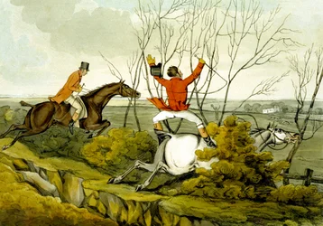 Plunging Through the Hedge