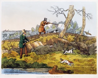 Woodcock hunting