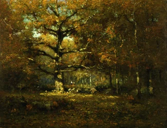 Connecticut Woods, 1899