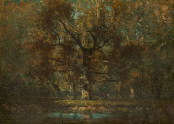 Oak Tree