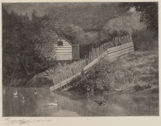A Duck Pond