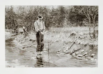 Setting a Beaver Trap