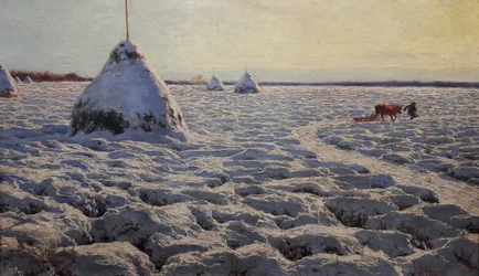 Lithuanian Swamps Under Snow