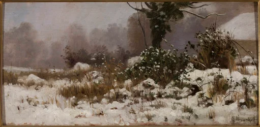 Winter Landscape