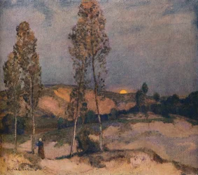 Sand Dunes, Pas De Calais