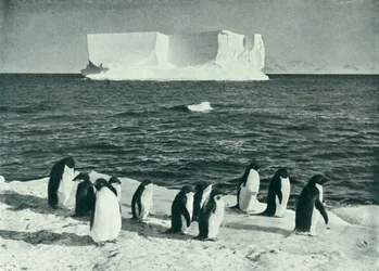A Berg Drifting in McMurdo Sound