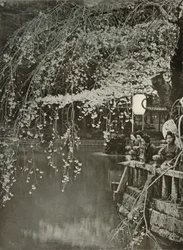 Cherry-Blossom Time in Japan, 1910